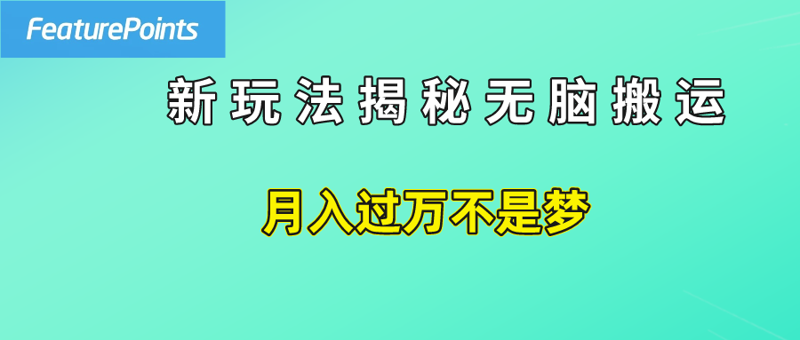简单操作，每天50美元收入，搬运就是赚钱的秘诀！-项目网资源站