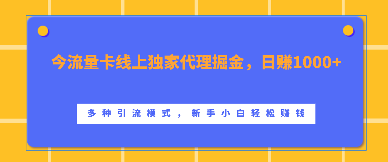 流量卡线上独家代理掘金，日赚1000+ ，多种引流模式，新手小白轻松赚钱-项目网资源站