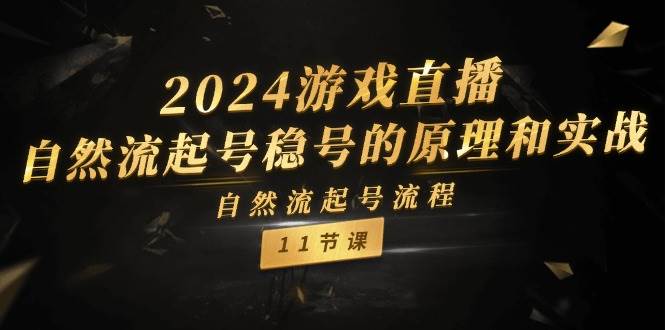 2024游戏直播-自然流起号稳号的原理和实战，自然流起号流程（11节）-项目网资源站