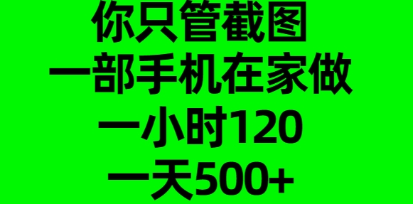 你只管截图，一部手机在家做，一小时120，一天500+-项目网资源站