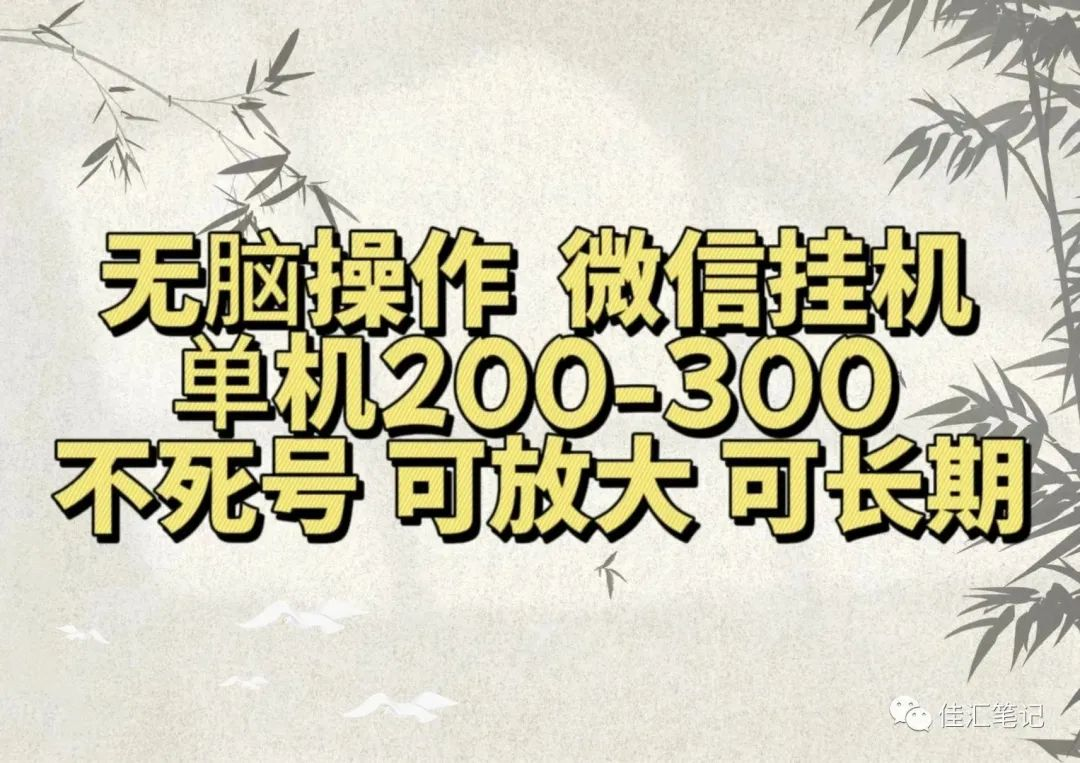 无脑操作微信视频号挂机单机200-300一天，不死号，可放大，工作室实测-项目网资源站
