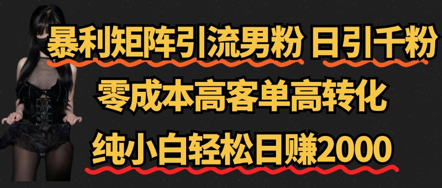 暴利矩阵引流男粉（日引千粉），零成本高客单高转化，纯小白轻松日赚2000+-项目网资源站