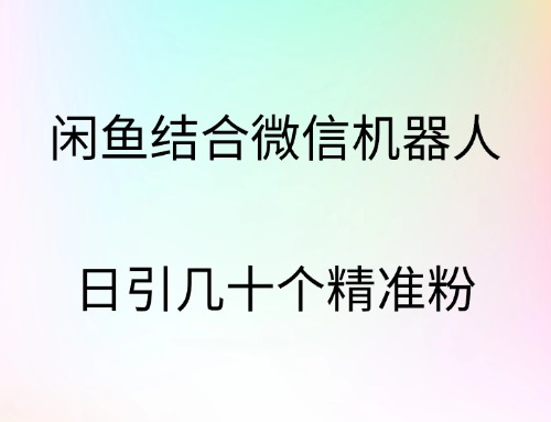 闲鱼结合微信机器人，日引几十个精准粉-项目网资源站