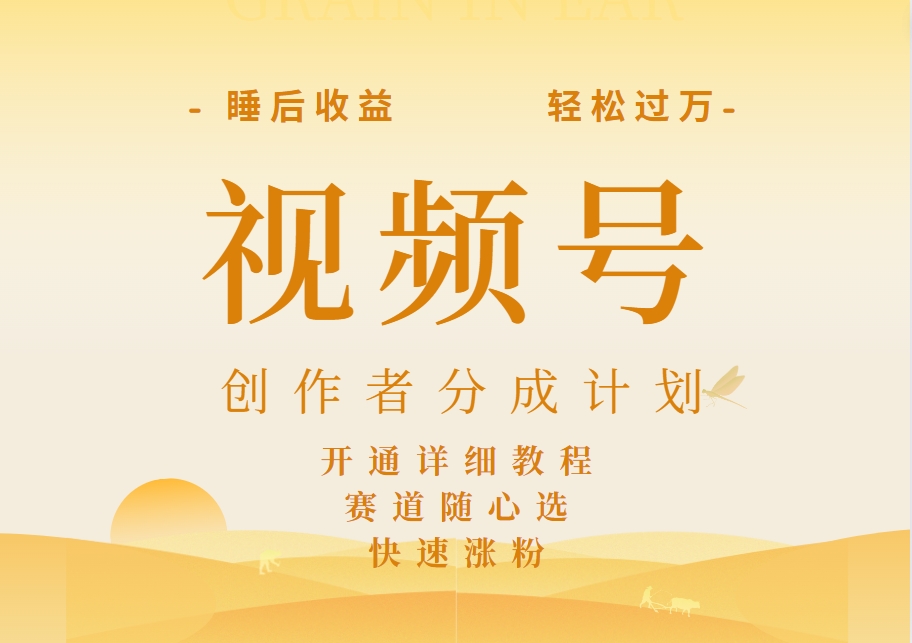 详解视频号创作者分成计划，暴力起号，可同步多平台，实现睡后收入2W+，看懂即可操作！-项目网资源站