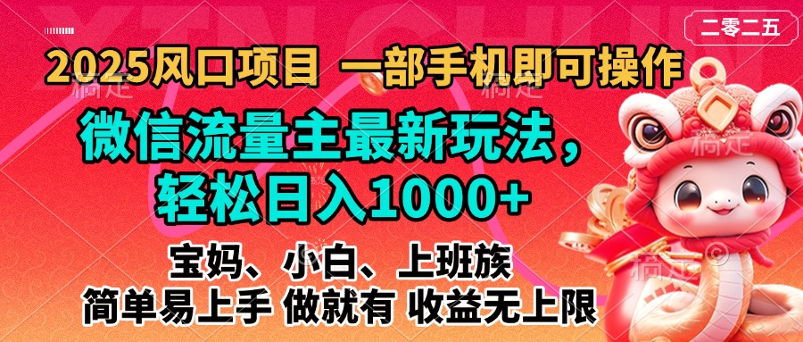 2025蓝海风口项目，微信流量主最新玩法，轻松日入1000+，简单易上手，做就有 收益无上限-项目网资源站