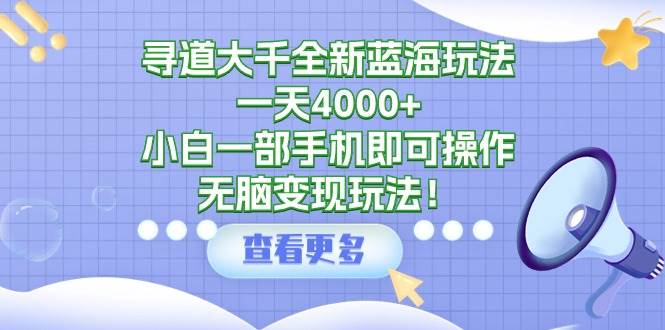 寻道大千全新蓝海玩法，一天4000+，小白一部手机即可操作，无脑变现玩法！-项目网资源站