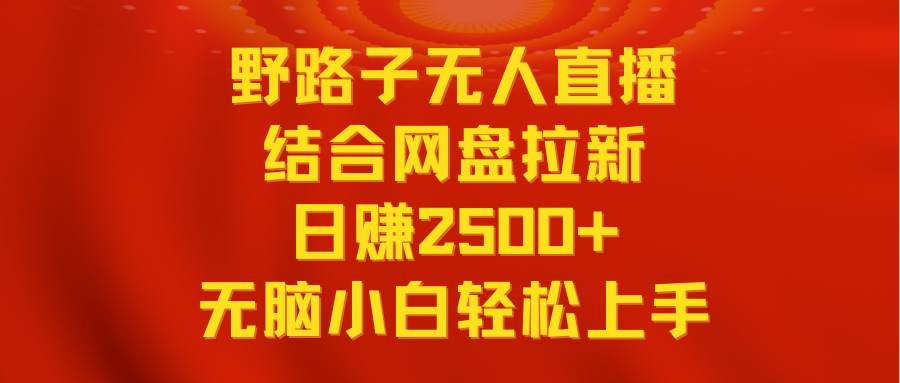 无人直播野路子结合网盘拉新，日赚2500+多平台变现，小白无脑轻松上手操作-项目网资源站