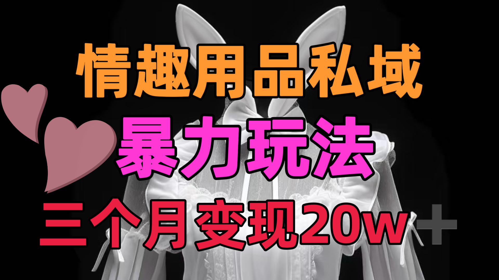 情趣用品私域，25年最新暴力玩法，三个月变现20w➕-项目网资源站