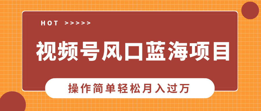 视频号风口蓝海项目，中老年人的流量密码，操作简单轻松月入过万-项目网资源站