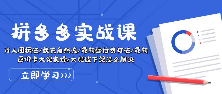 拼多多·实战课：万人团玩法/截流自然流/最新强付费打法/最新原价卡大促..-项目网资源站