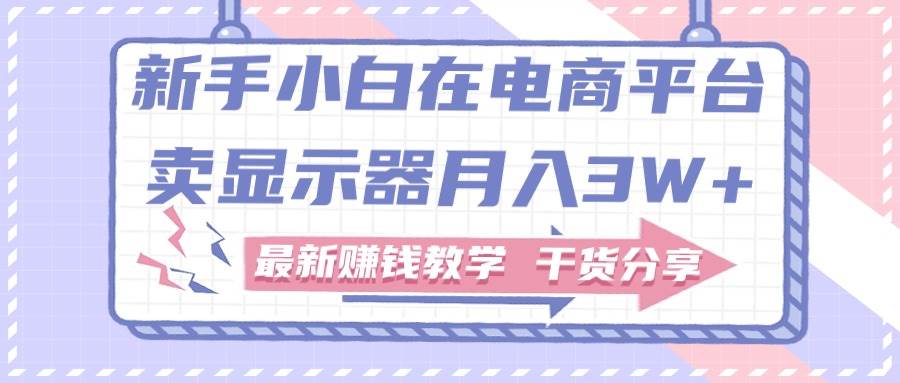 新手小白如何做到在电商平台卖显示器月入3W+，最新赚钱教学干货分享-项目网资源站