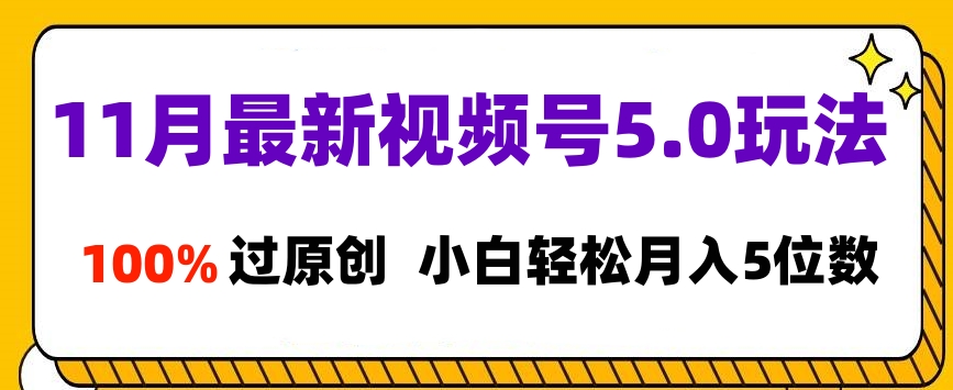 11月最新视频号5.0玩法，100%过原创，小白轻松月入5位数-项目网资源站