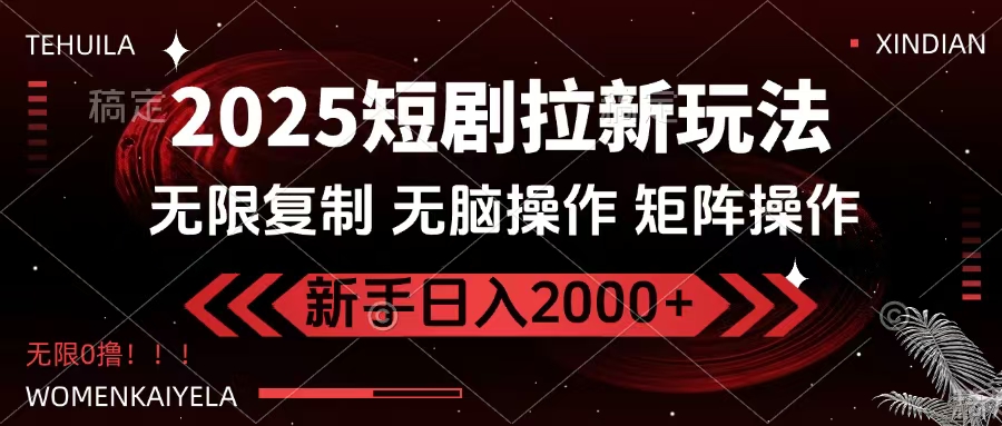 2025短剧拉新玩法，无需注册登录，无限0撸，无脑批量操作日入2000+-项目网资源站