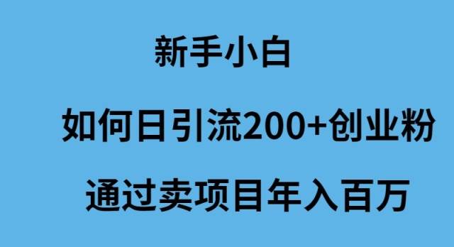 新手小白如何日引流200+创业粉通过卖项目年入百万-项目网资源站