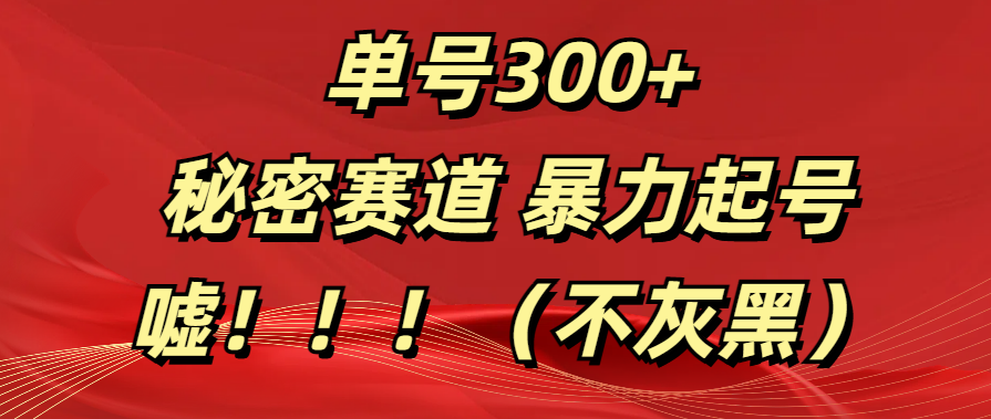 单号300+  秘密赛道 暴力起号  （不灰黑）-项目网资源站