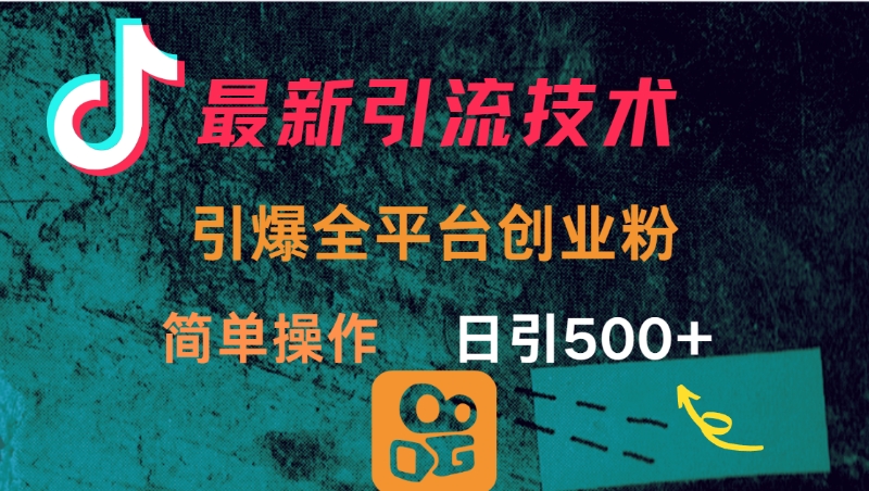 最新引流方法，引爆全平台创业粉操作简单，日引300＋-项目网资源站