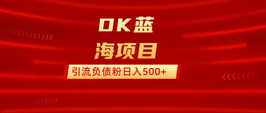 DK蓝海项目  通过，抖音，快手，小红书，引流负债粉日入500+-项目网资源站