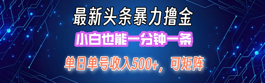 最新头条撸金，小白也能一分钟一条-项目网资源站