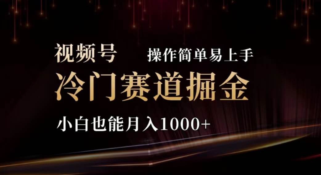 2024视频号冷门赛道掘金，操作简单轻松上手，小白也能月入1000+-项目网资源站