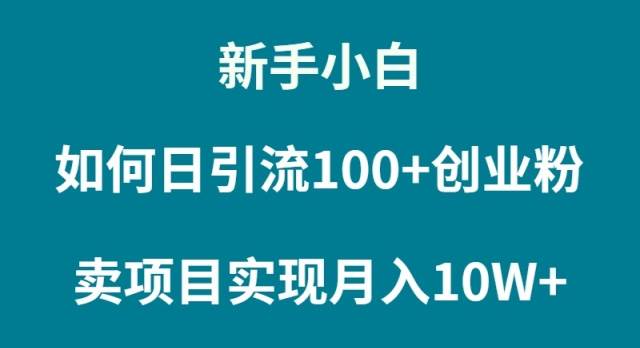新手小白如何通过卖项目实现月入10W+-项目网资源站