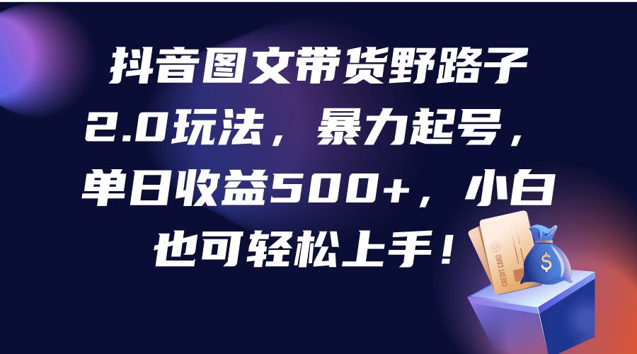 抖音图文带货野路子2.0玩法，暴力起号，单日收益500+，小白也可轻松上手！-项目网资源站