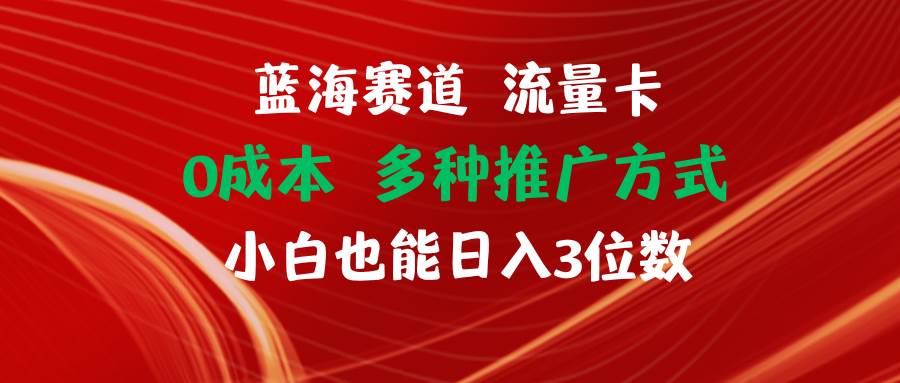 蓝海赛道 流量卡 0成本 小白也能日入三位数-项目网资源站