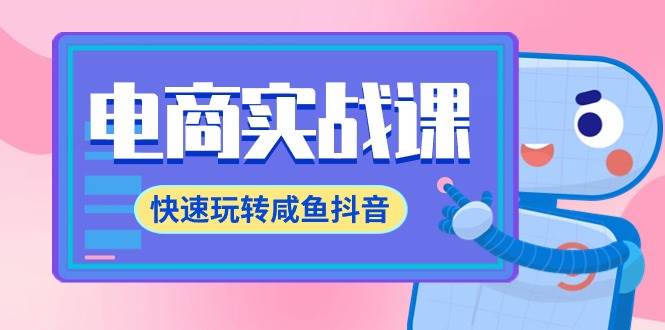 电商实战课，快速玩转咸鱼抖音，全体系全流程精细化咸鱼电商运营-71节课-项目网资源站