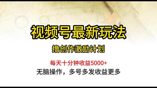 视频号最新玩法，每日一小时月入5000+-项目网资源站