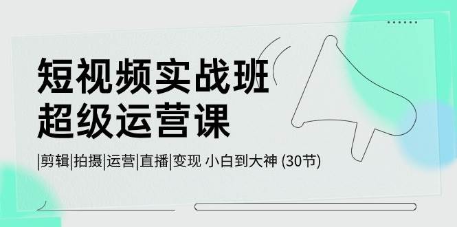 短视频实战班-超级运营课，|剪辑|拍摄|运营|直播|变现 小白到大神 (30节)-项目网资源站