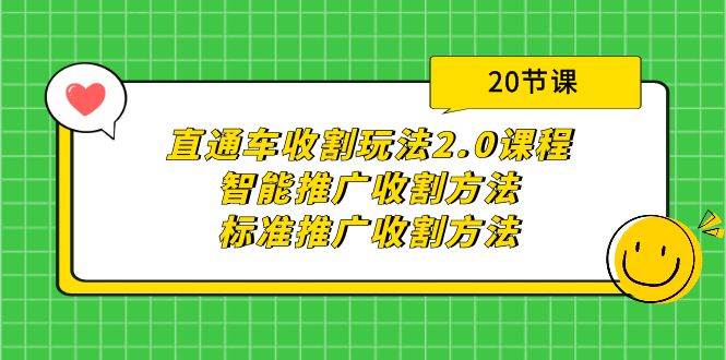 直通车收割玩法2.0课程：智能推广收割方法+标准推广收割方法（20节课）-项目网资源站
