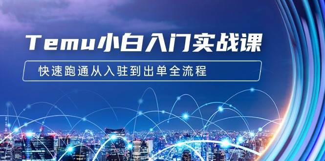 Temu小白入门实战课：跨境拼多多电商培训 快速跑通从入驻到出单全流程-12节-项目网资源站