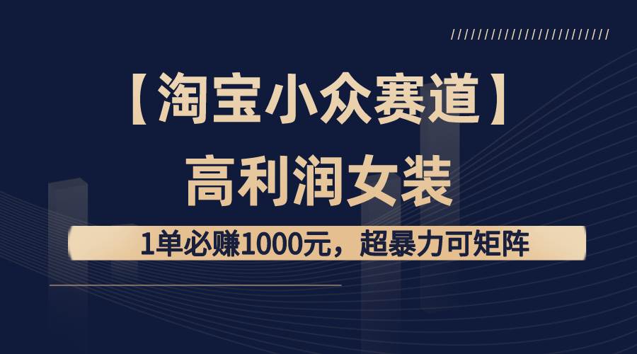 【淘宝小众赛道】高利润女装：1单必赚1000元，超暴力可矩阵-项目网资源站