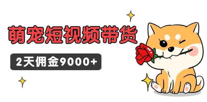 东哲日记·萌宠短视频带货，2天佣金9000+-项目网资源站