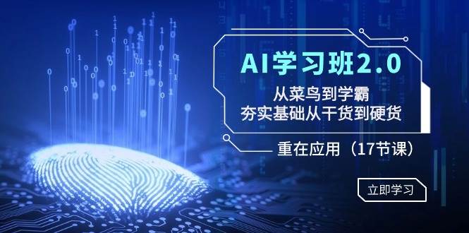AI学习班2.0：从菜鸟到学霸，夯实基础从干货到硬货，重在应用（17节课）-项目网资源站
