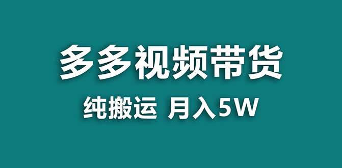 【蓝海项目】拼多多视频带货 纯搬运一个月搞了5w佣金，小白也能操作 送工具-项目网资源站