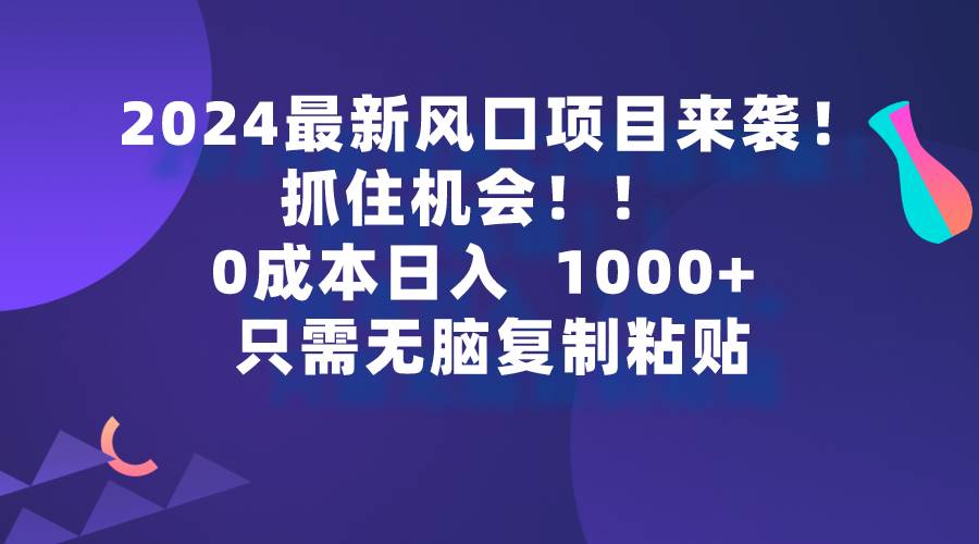 2024最新风口项目来袭，抓住机会，0成本一部手机日入1000+，只需无脑复…-项目网资源站