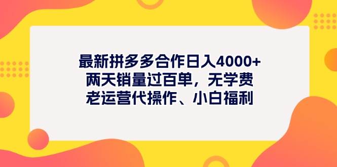 最新拼多多项目日入4000+两天销量过百单，无学费、老运营代操作、小白福利-项目网资源站