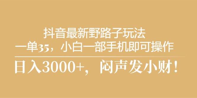 抖音最新野路子玩法，一单35，小白一部手机即可操作，，日入3000+，闷…-项目网资源站