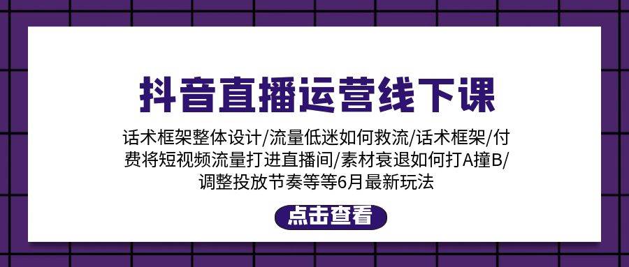 抖音直播运营线下课：话术框架/付费流量直播间/素材A撞B/等6月新玩法-项目网资源站