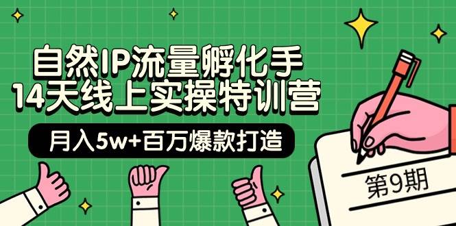 自然IP流量孵化手 14天线上实操特训营【第9期】月入5w+百万爆款打造 (74节)-项目网资源站