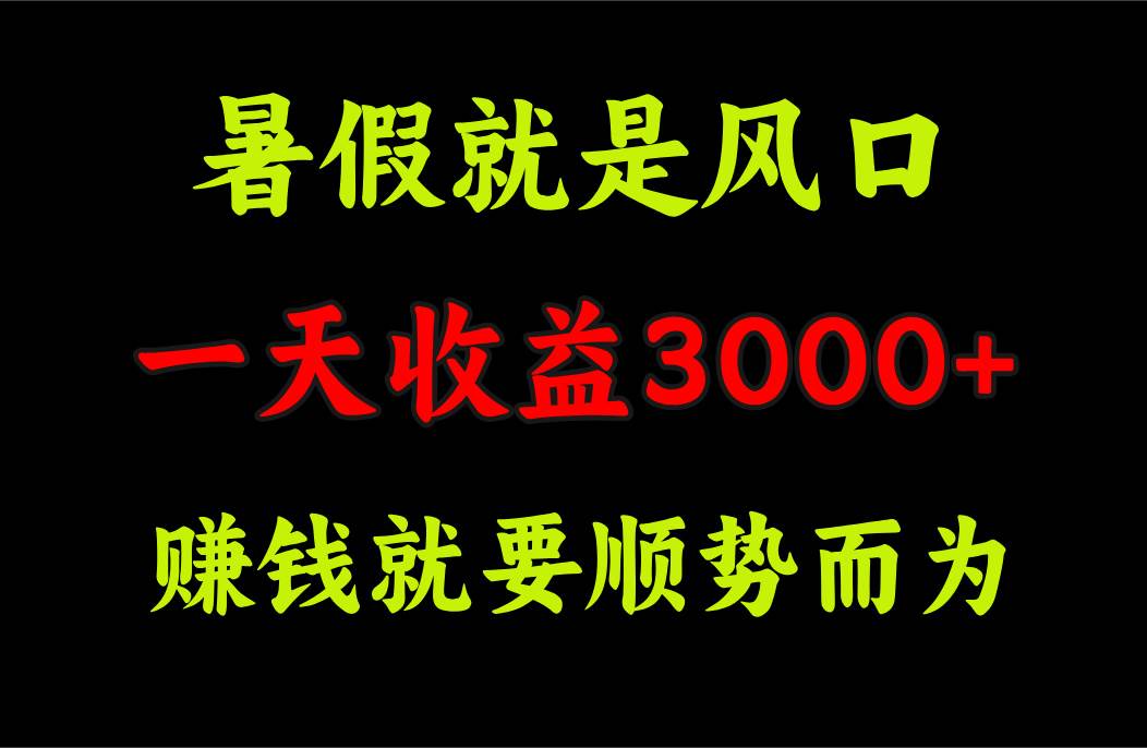 一天收益3000+ 赚钱就是顺势而为，暑假就是风口-项目网资源站