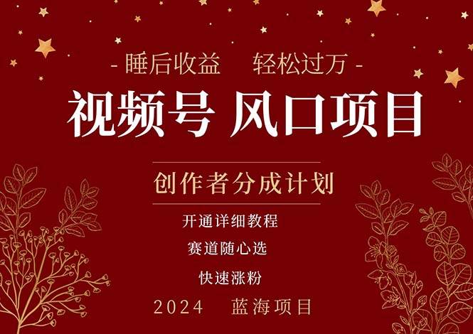 拥有睡眠收益的微信视频号大风口项目，轻松月入过万+，多赛道选择，可…-项目网资源站