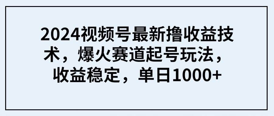 2024视频号最新撸收益技术，爆火赛道起号玩法，收益稳定，单日1000+-项目网资源站