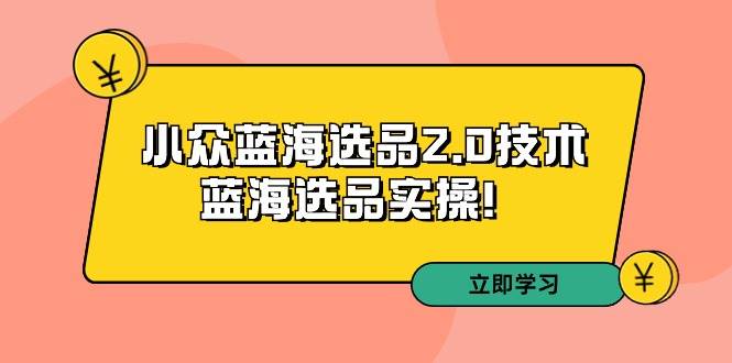 拼多多培训第33期：小众蓝海选品2.0技术-蓝海选品实操！-项目网资源站