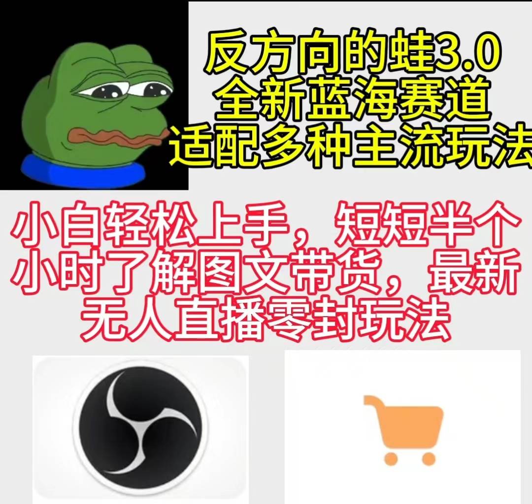 反方向的蛙3.0，图文最新玩法，变现多元化，新蓝海项目，小白轻松上手-项目网资源站