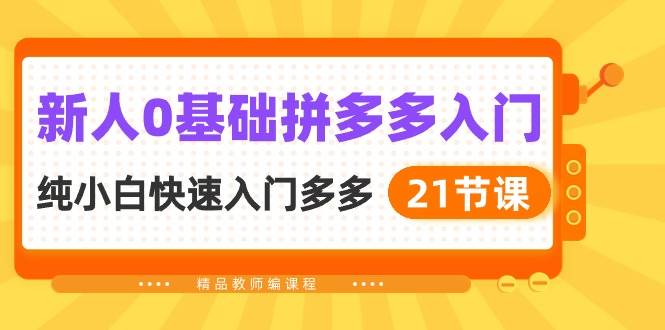 新人0基础拼多多入门，纯小白快速入门多多（21节课）-项目网资源站