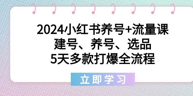 2024小红书养号+流量课：建号、养号、选品，5天多款打爆全流程-项目网资源站