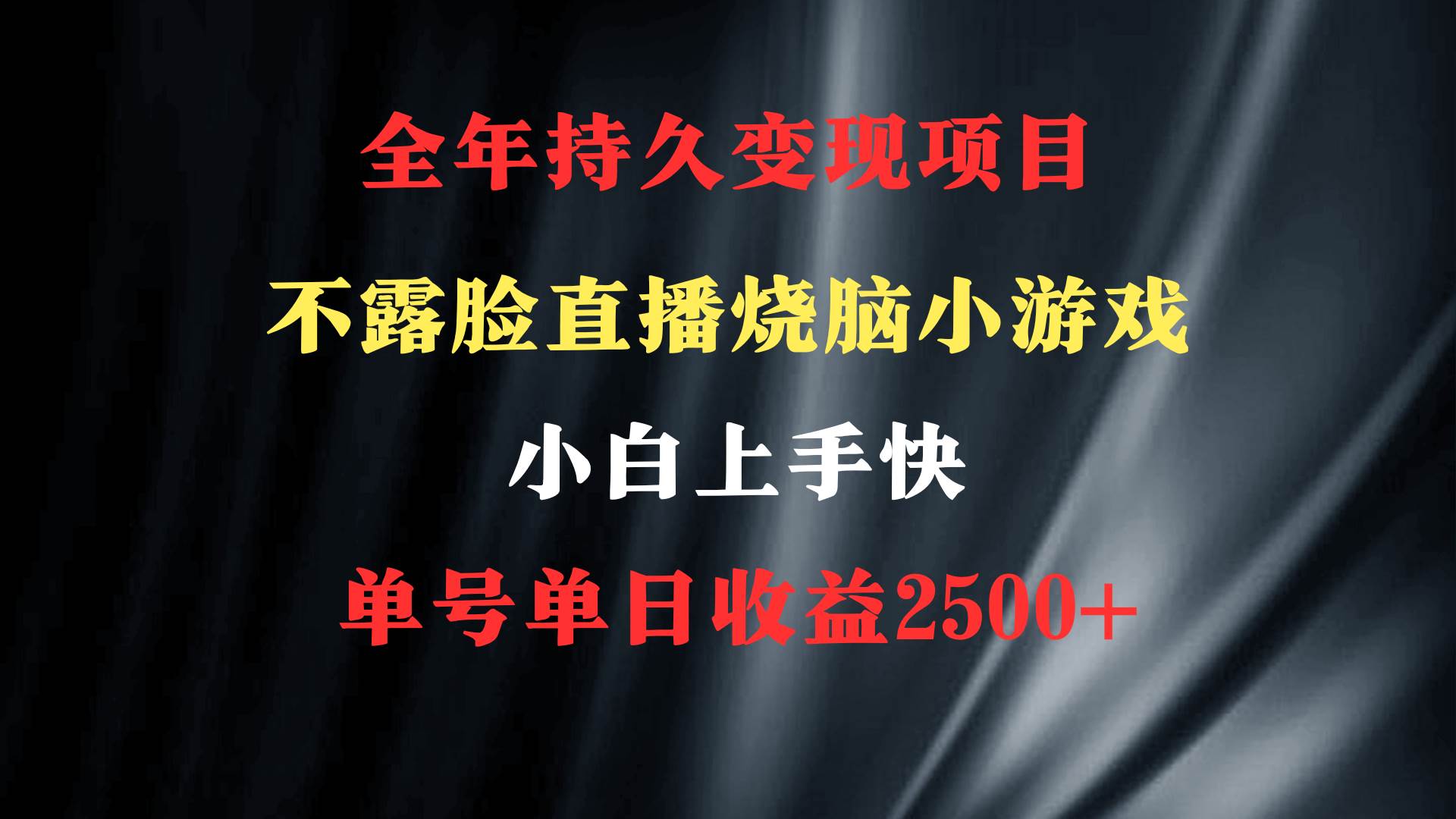 2024年 最优项目，烧脑小游戏不露脸直播  小白上手快 无门槛 一天收益2500+-项目网资源站