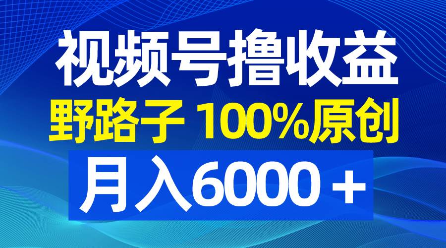 视频号野路子撸收益，100%原创，条条爆款，月入6000＋-项目网资源站
