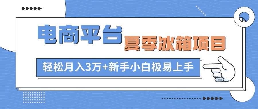 电商平台夏季冰箱项目，轻松月入3万+，新手小白极易上手-项目网资源站